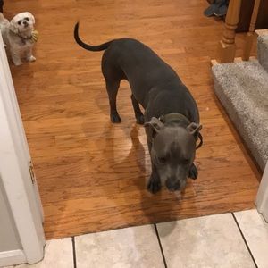 Meet your Posher, Kyle